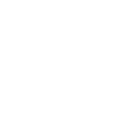 alert